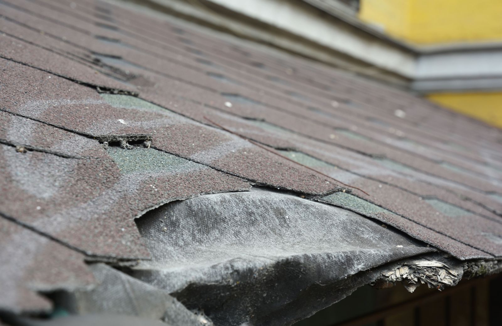 Angelo Roofing LLC Images