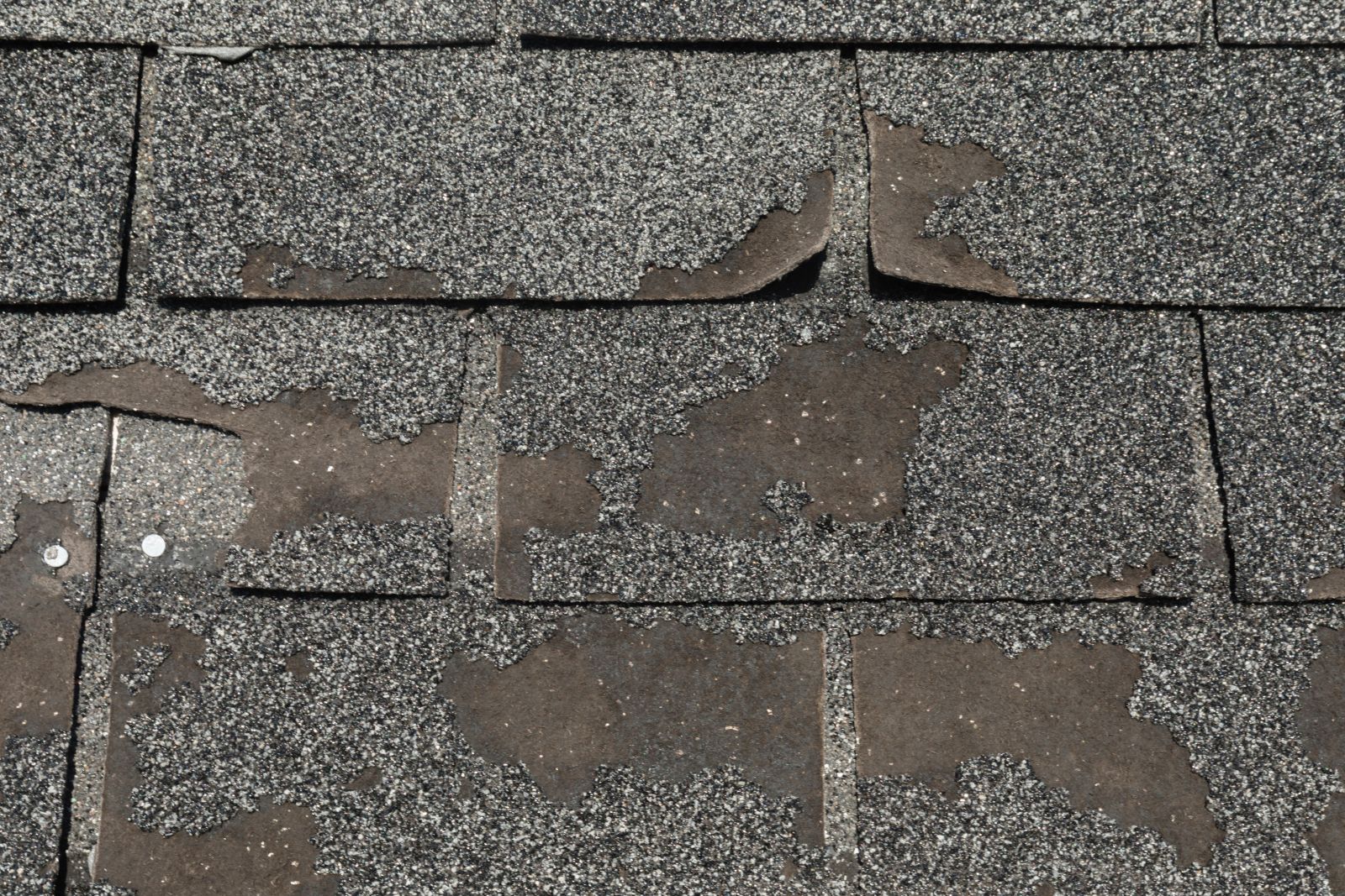 Angelo Roofing LLC Images